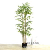 uploads/erp/collection/images/Home Garden/dgjiawang/XU0612804/img_b/XU0612804_img_b_5